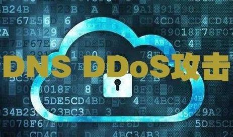 DNS 安全瞬秒